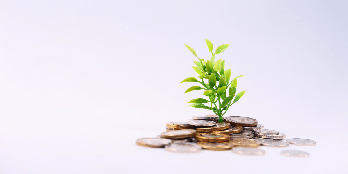 India Seed Fund Scheme (SISFS)